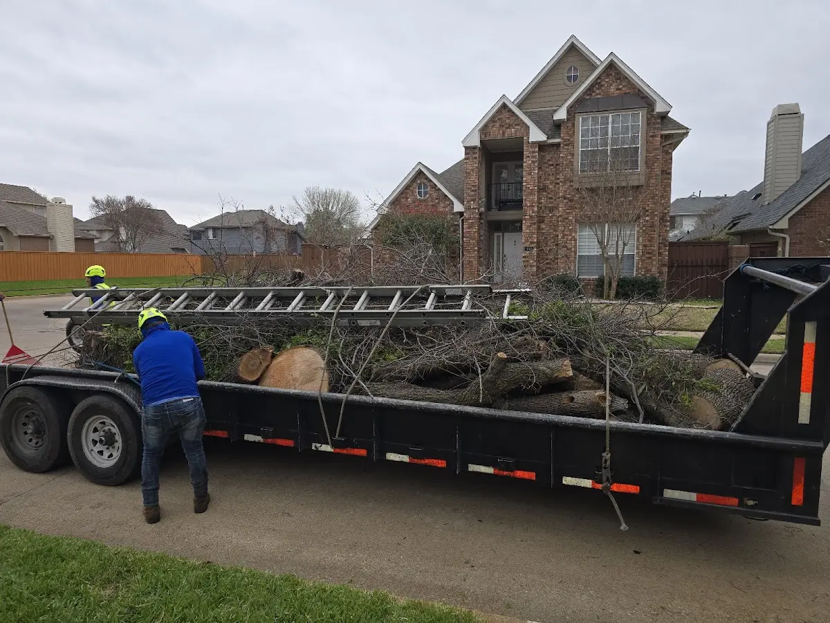 Expert Tree Removal with proper safety equipment in Deep River
